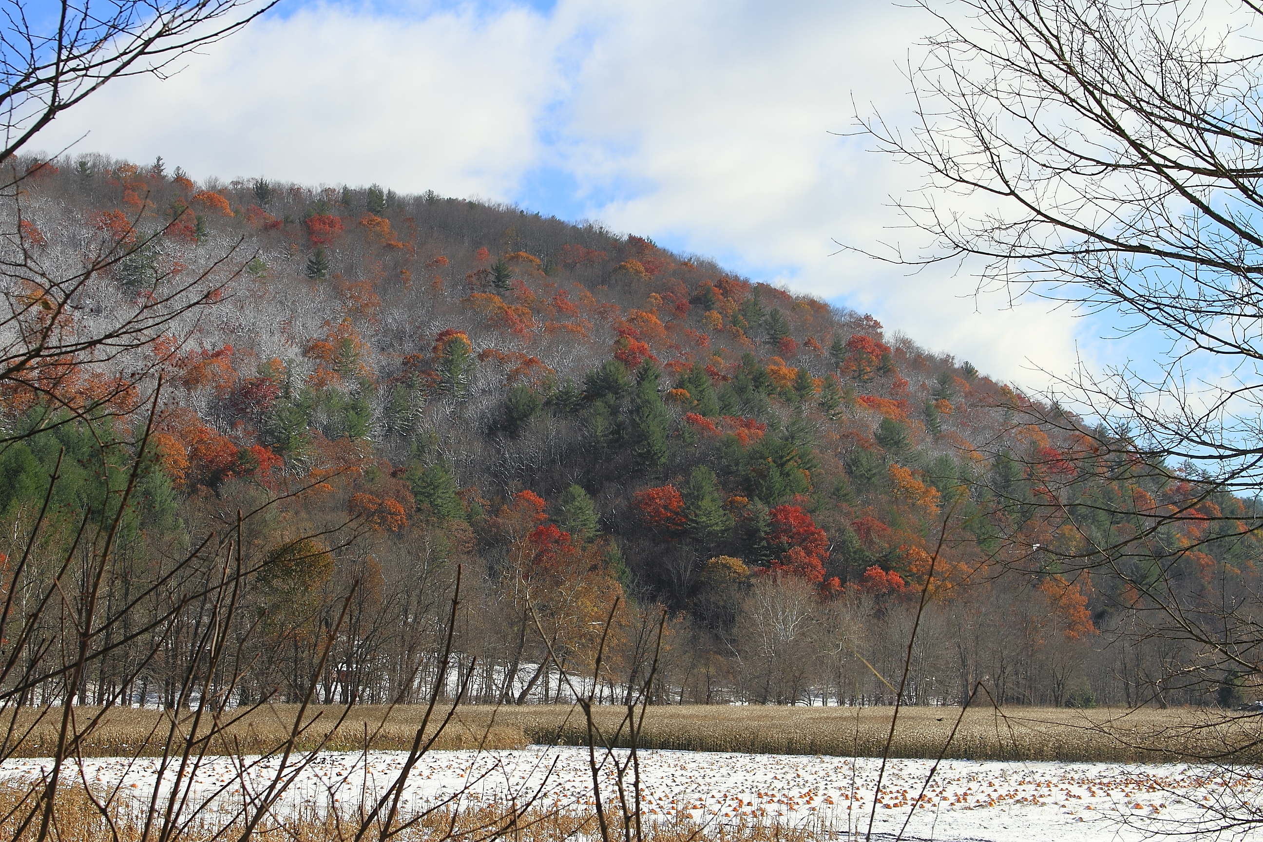 Early Fall Snow in Boone NC