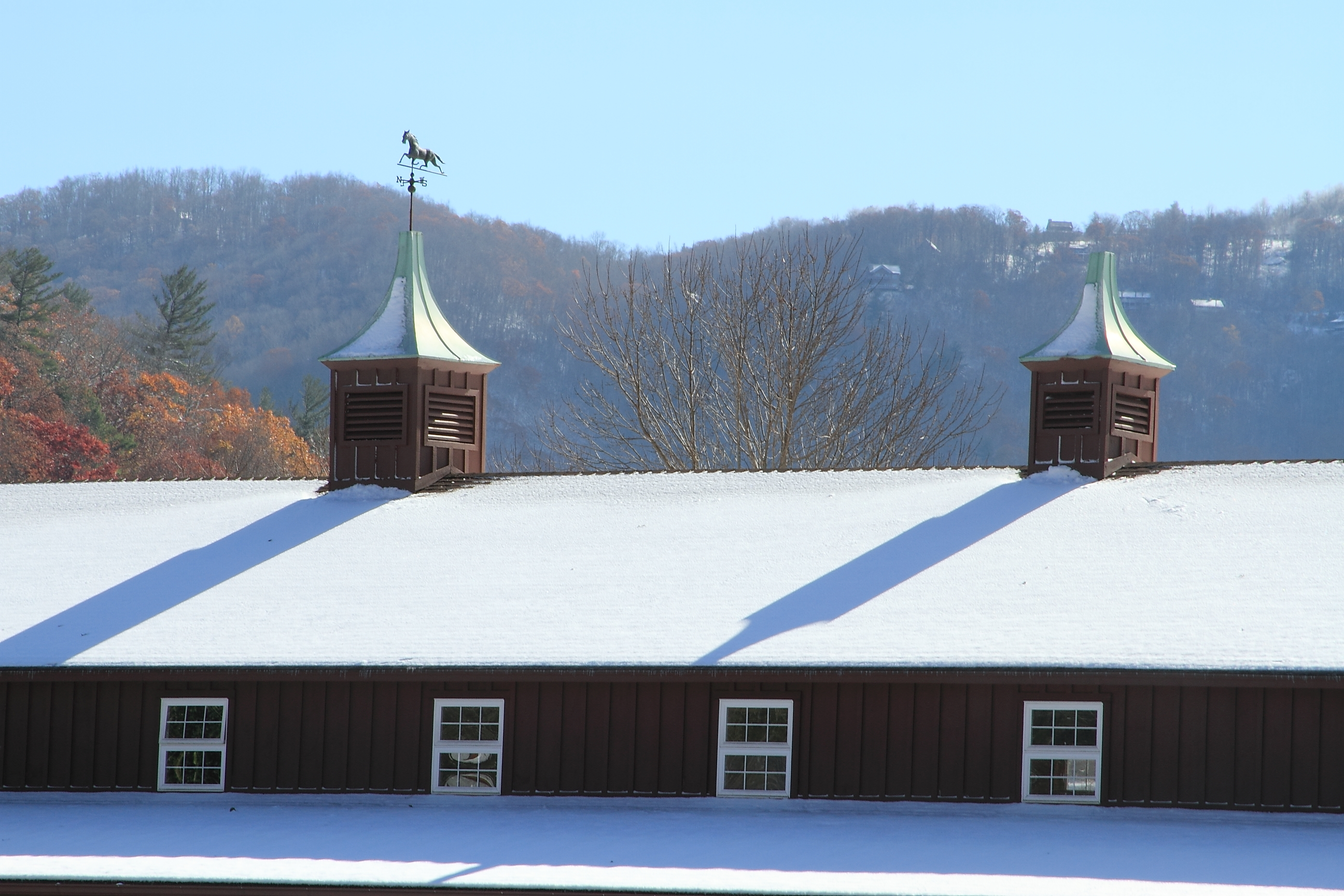 Boone Cooke Eden Nc - oadpb4r