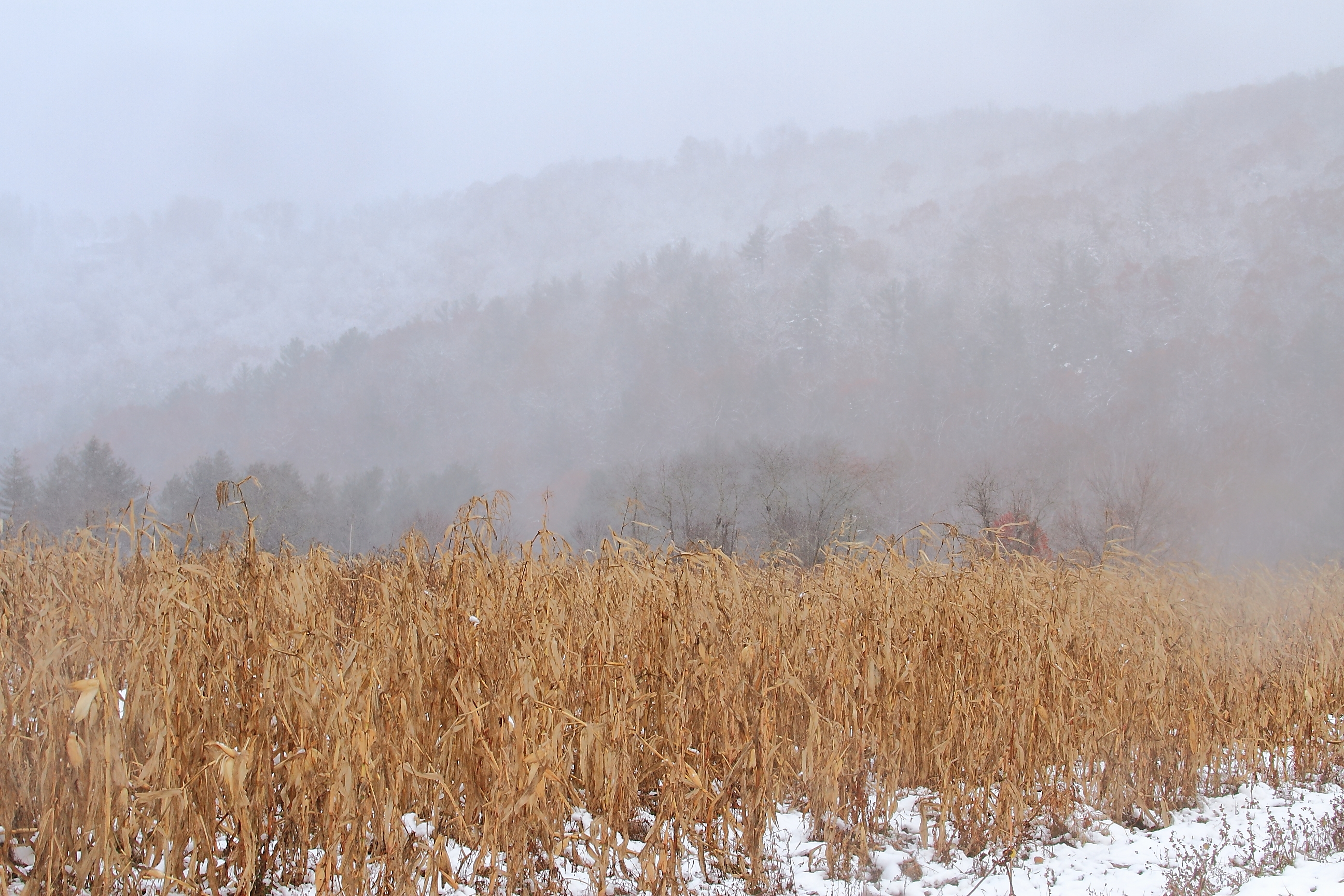 Early Fall Snow in Boone NC | VisualRecap.com